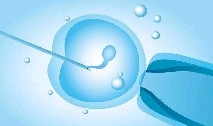 温州代生宝宝的 温州医科大学附属第二医院简介 ‘孕囊形状看男女实例’